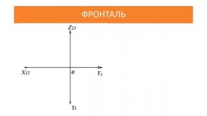 Прямые уровня
