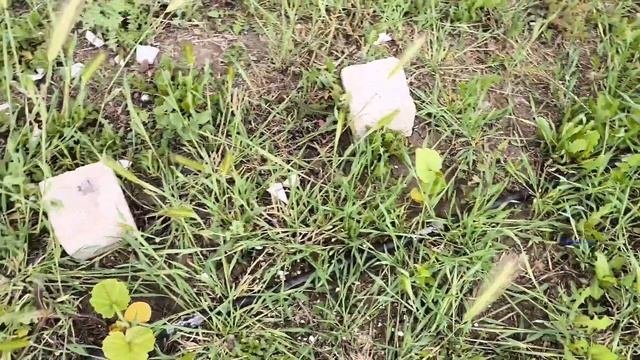 Настроения нет🥴/поехали в огород/огород в Турции/выходной у мужа/1 часть