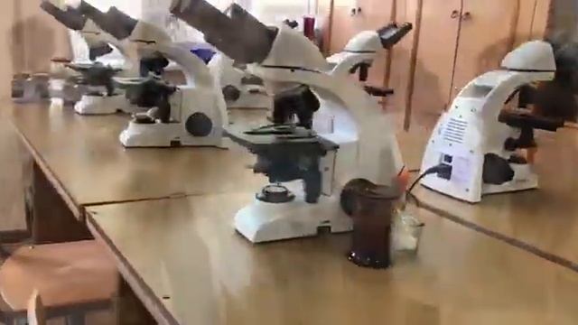 ИНТЕНСИВНЫЙ КУРС ПРАКТИЧЕСКИХ ЗАДАЧ ПО ХИМИИ И БИОЛОГИИ смотреть онлайн