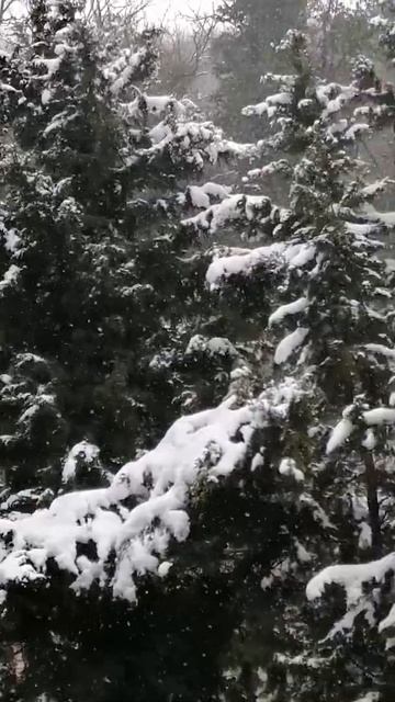 НАСТРОЕНИЕ СМОТРЕТЬ ИРОНИЮ СУДЬБЫ смотреть онлайн