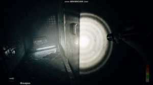 играю в panicore