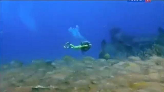 Подводный мир.Жизнь в океане.