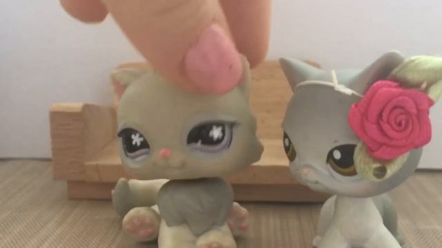 LPS-сериал {Чайка} 13 серия(КОНЕЦ) смотреть онлайн