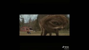 ПУТЬ С НУЛЯ В ДЖЕЙЛБРЕЙКЕ | Jailbreak | Roblox