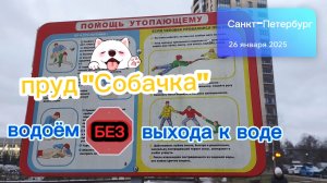 Погружение в пруд "Собачка" исследуем глубины и секреты ледяной глади