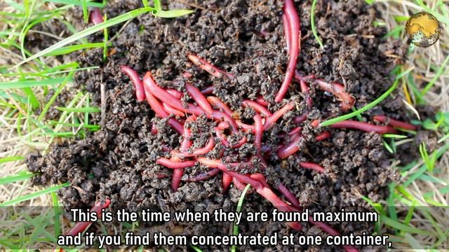 10 IMPORTANT GARDENING TIPS FOR RAINY SEASON 2020