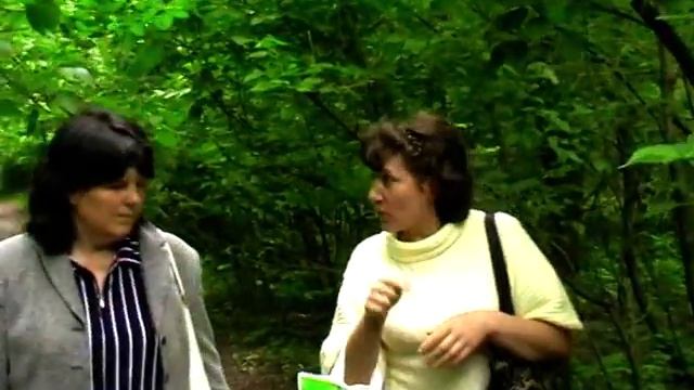 Покой - природа смотреть онлайн