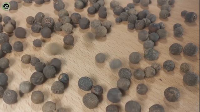 ОЧИЩЕНИЕ СОСУДОВ ГОЛОВНОГО МОЗГА. 90-летний врач раскрыл секрет ОЧИСТКИ СОСУДОВ МОЗГА!