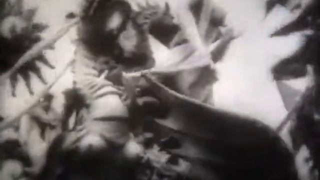 Учебная фильмотека. Музыкальное образование. Музыка народов мира смотреть онлайн