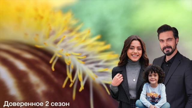 Доверенное 351 серия.Мы неправильно понимали Халила Ибрахим на протяжении многих лет? смотреть онлайн