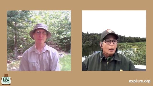 The Resilience of Brown Bears | Live Chat смотреть онлайн