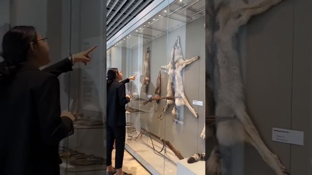 Экскурсия студентов факультета МПД в Национальный исторический музей смотреть онлайн