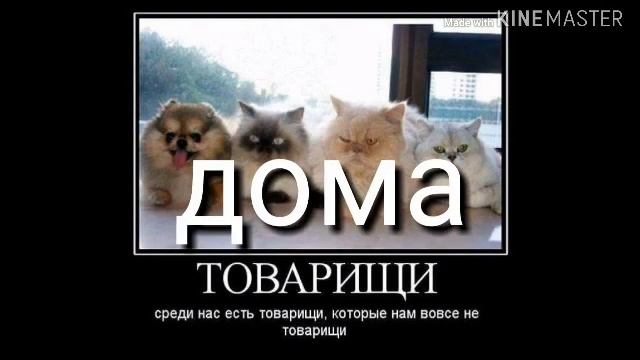 |• конец 1сезона 6 серия•|Gacha Life•|на русском языке•| смотреть онлайн