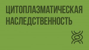 Цитоплазматическая наследственность. Видеоурок по биологии 10 класс