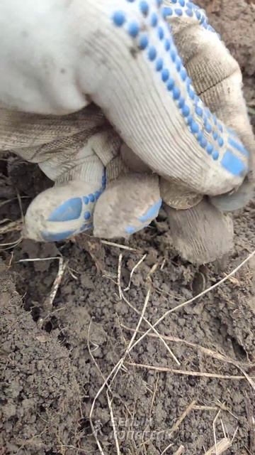 Куча монет с одной ямки! смотреть онлайн