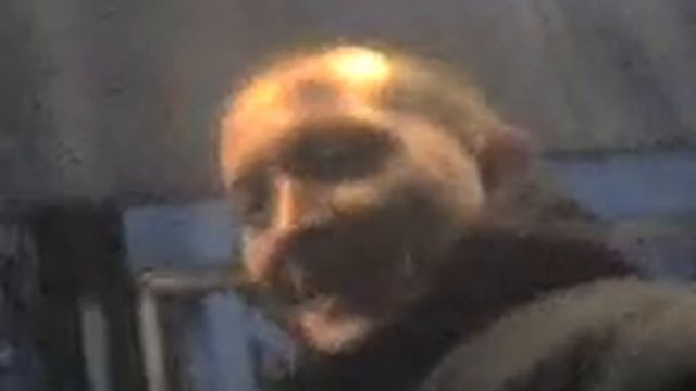 СКИН В КАЗАХСТАНЕ!!!!!!! СМОТРЕТЬ ВСЕМ!!!! ПРОСТО ЖЕЕСТЬ!!!!! смотреть онлайн