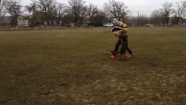 Опра с Азовского Берега-работа по защите смотреть онлайн