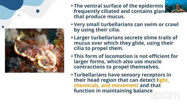 Marine Diversity Education - Session - 07 смотреть онлайн
