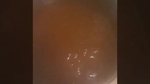 Сироп из чубушника(садовый жасмин). Часть 2.