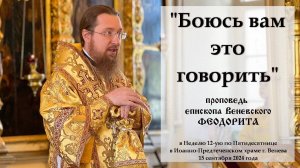 "Боюсь вам это говорить". Епископ Венёвский Феодорит.