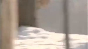 Русский проект - мы помним