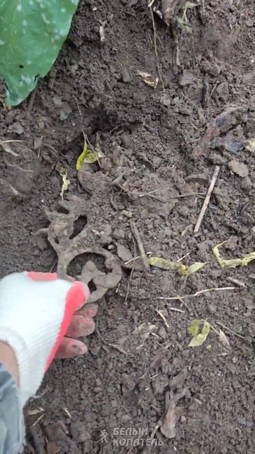 Неизвестная находка показала из земли... смотреть онлайн