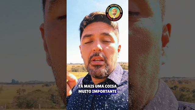 Em que língua traduzir na Bélgica? #europa #estrangeiros #imigrante #belgica #viagens #traducao смотреть онлайн