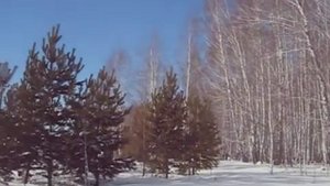 Опять игра, опять кино