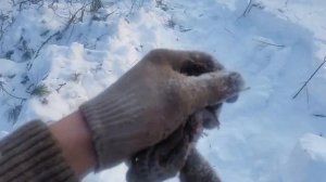 Мышка-носик