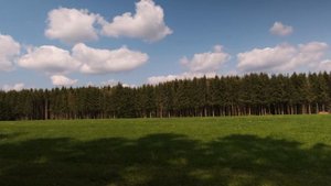 🌲 Тёмный лес Германии: Schwarzwald