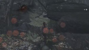 Tomb Raider Прохождение / Лара Крофт / Расхитительница Гробниц - Встреча с Командой - Часть 2 [2022