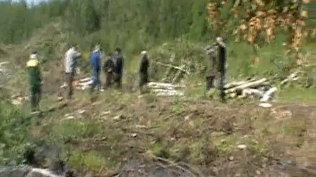 Узбекфильм Европа отдыхает часть 1 смотреть онлайн