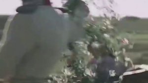 Не обещайте деве юной....