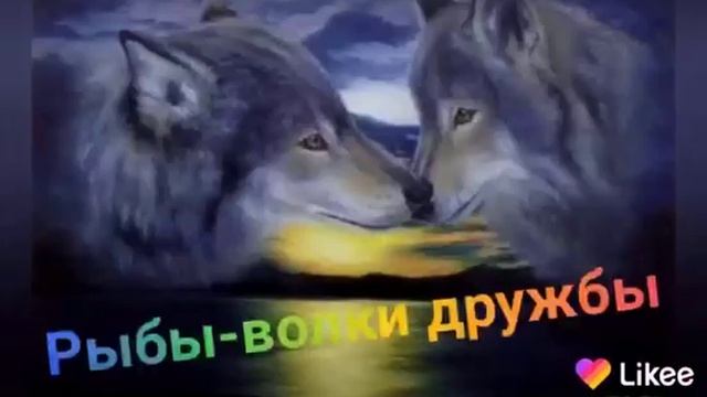 Интересная правда о характере(ЗНАКИ ЗОДИАКА). смотреть онлайн