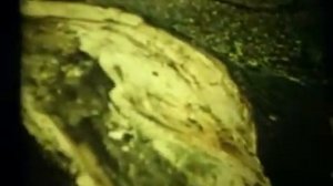 НаучФильм. Серия Химия. Сера и ее соединения