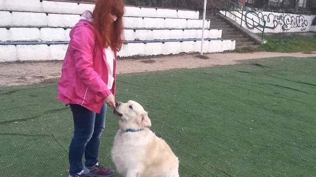 Онлайн курс Глазки на время Нед 1 смотреть онлайн