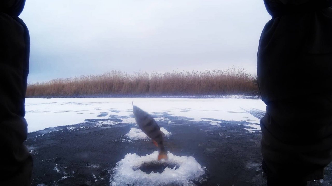 С безмотылкой пол дня на озере результат на лицо.