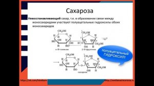 #51. Углеводы. Дисахариды.