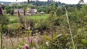 ЦЫГАНКА 1-24 СЕРИИ (Анонс сериала)