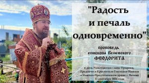 "Радость и печаль одновременно". Епископ Венёвский Феодорит.