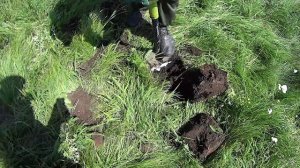 коп на старой деревне возле взорванного храма