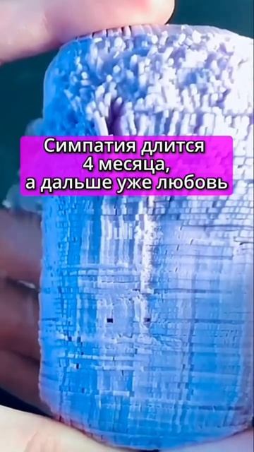 Факты о любви, которые ты не знал #shorts смотреть онлайн