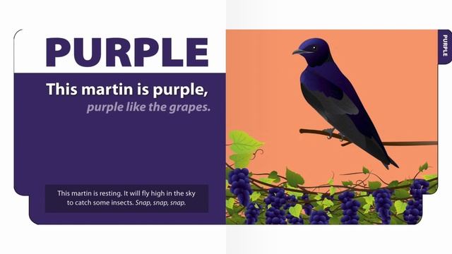 My Colors Book Early Birds | Reading Books For Kids смотреть онлайн