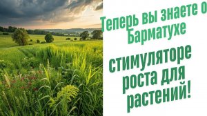 Стимулятор роста для растений