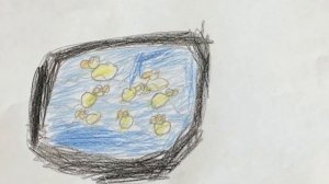 I’m a horse and I can jump