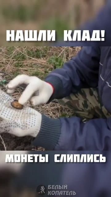 Нашли клад. Кладовые монеты смотреть онлайн