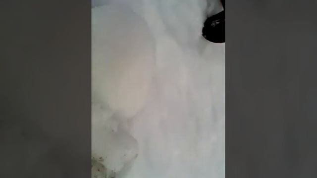 Утро школьника