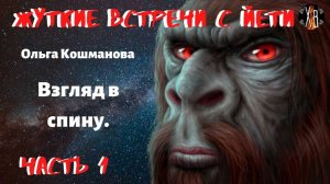 Жуткие встречи с Йети. Взгляд в спину.Ч.1 Йети напал на мальчика. Чит. Леонид Блудилин