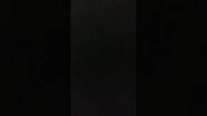 Дубровский А С Пушкин (глава 3)