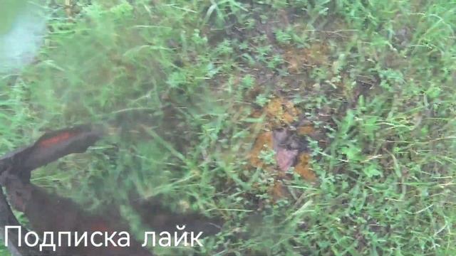 коп металла на новой ферме,#коп #металлокоп #зароботок